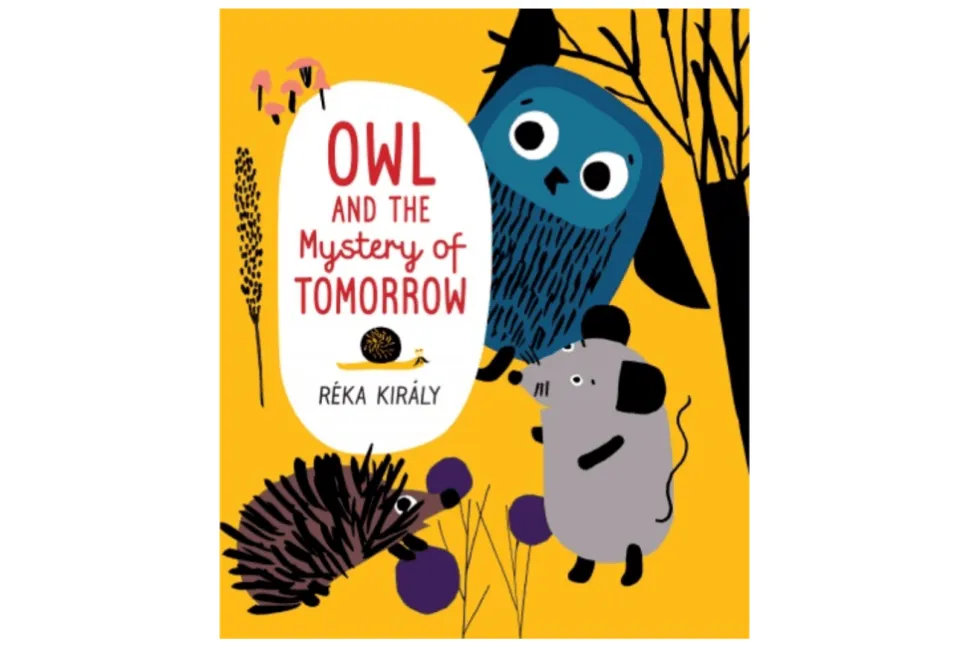 Owl and the Mystery of Tomorrow: A Book To Help Children Understand Time