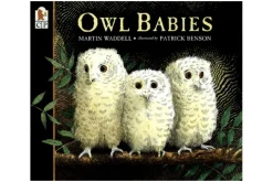 Owl Babies by Martin Waddell [SOFT COVER]