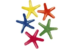 Papoose Felt Ocean Animals