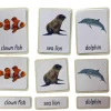 3-Part Language Cards - Ocean Animals