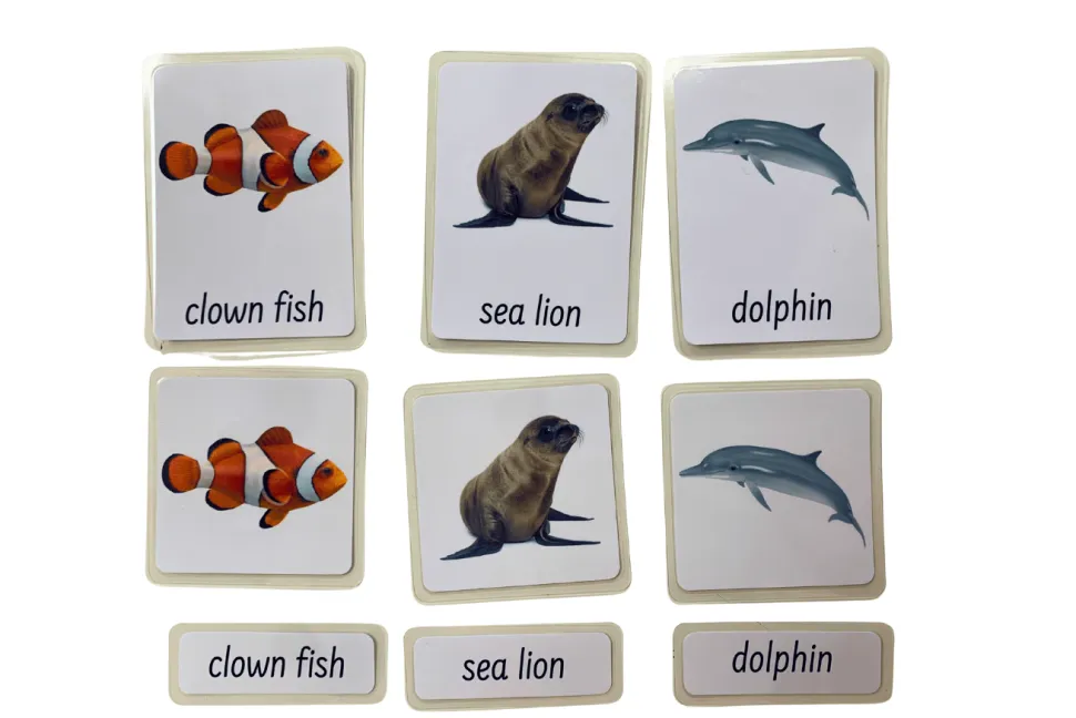 3-Part Language Cards - Ocean Animals