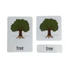 3-Part Language Cards - Parts of a Tree