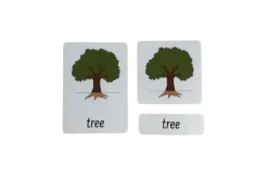 3-Part Language Cards - Parts of a Tree