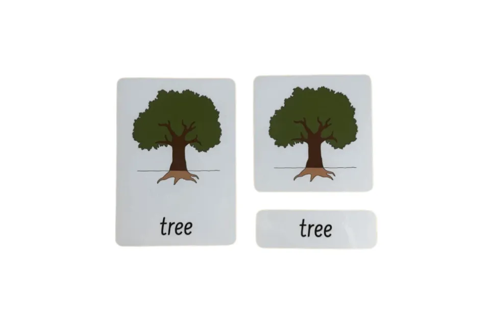 3-Part Language Cards - Parts of a Tree