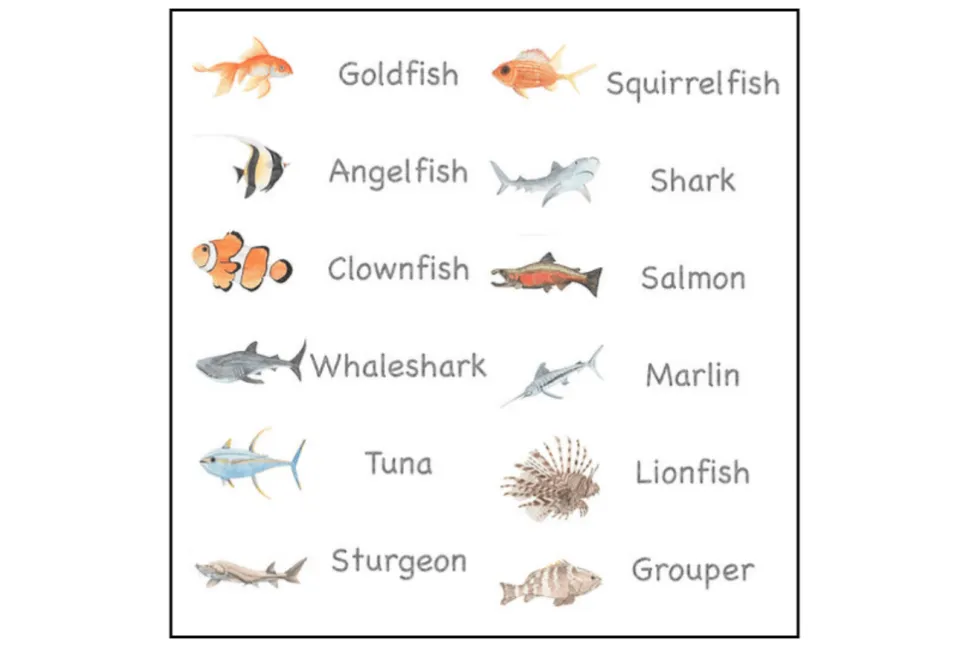 3-Part Language Cards (Watercolour) (Multiple Themes Available)