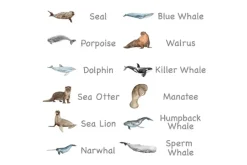 3-Part Language Cards (Watercolour) (Multiple Themes Available)