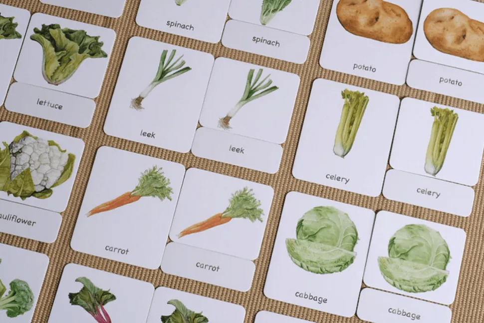 3-Part Language Cards (Watercolour) (Multiple Themes Available)
