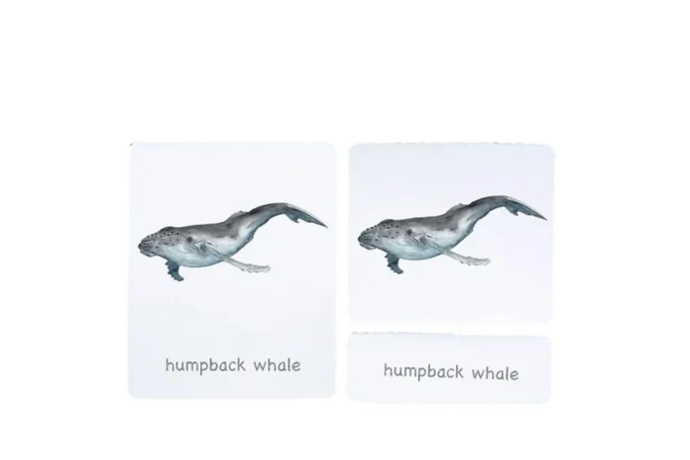 3-Part Language Cards (Watercolour) (Multiple Themes Available)