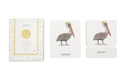 3-Part Language Cards (Watercolour) (Multiple Themes Available)