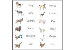 3-Part Language Cards (Watercolour) (Multiple Themes Available)