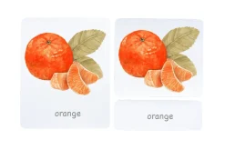 3-Part Language Cards (Watercolour) (Multiple Themes Available)