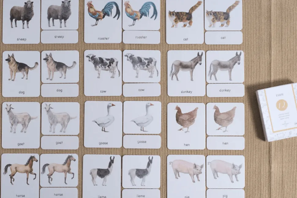 3-Part Language Cards (Watercolour) (Multiple Themes Available)