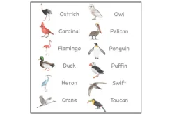 3-Part Language Cards (Watercolour) (Multiple Themes Available)