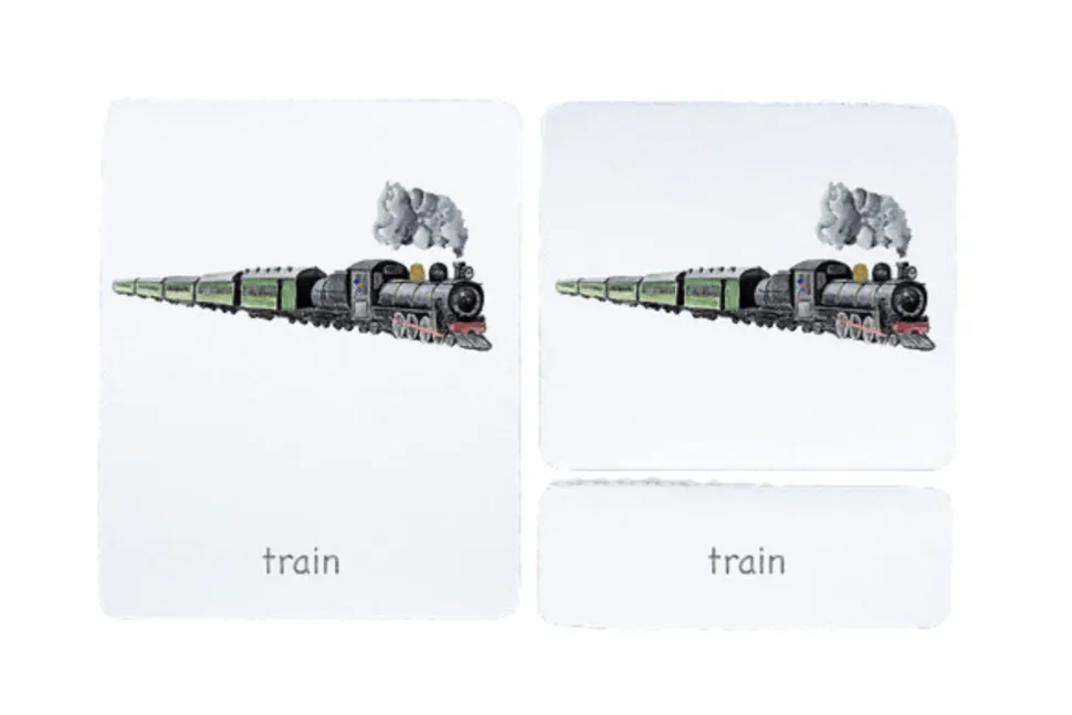 3-Part Language Cards (Watercolour) (Multiple Themes Available)