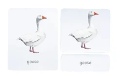 3-Part Language Cards (Watercolour) (Multiple Themes Available)