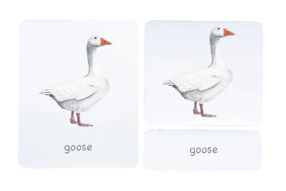 3-Part Language Cards (Watercolour) (Multiple Themes Available)