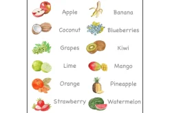 3-Part Language Cards (Watercolour) (Multiple Themes Available)