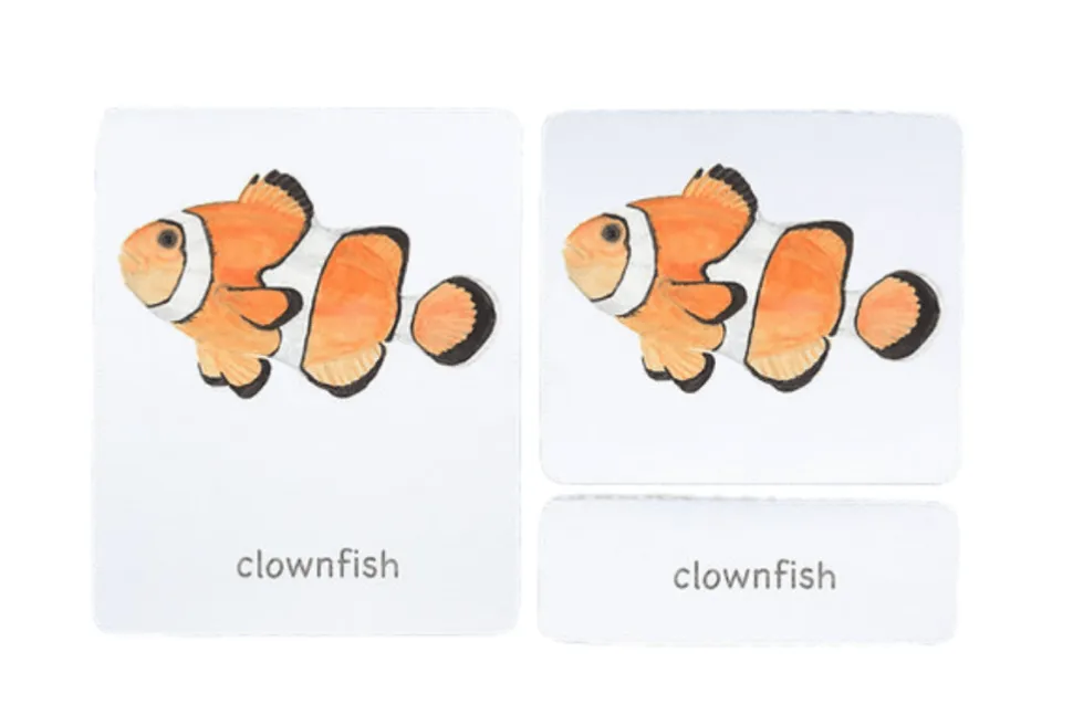 3-Part Language Cards (Watercolour) (Multiple Themes Available)