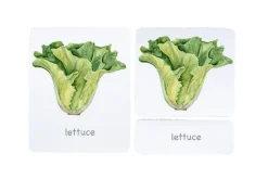 3-Part Language Cards (Watercolour) (Multiple Themes Available)