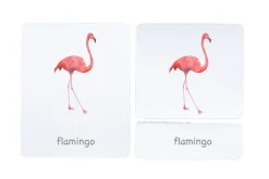 3-Part Language Cards (Watercolour) (Multiple Themes Available)