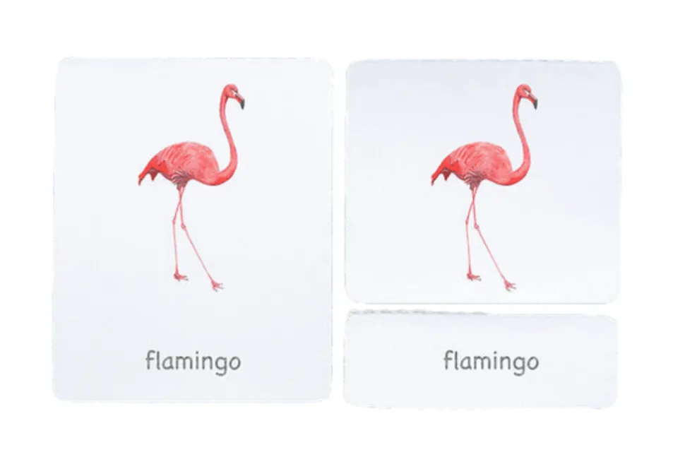 3-Part Language Cards (Watercolour) (Multiple Themes Available)