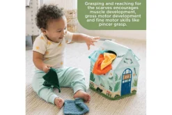 Peek and Pull Tissue Box