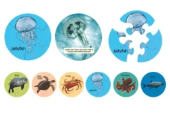 3 Piece Sea Life Animal Puzzles (6 pack)