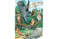 35 Piece Tray Puzzles (Multiple Themes)