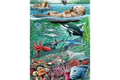 35 Piece Tray Puzzles (Multiple Themes)