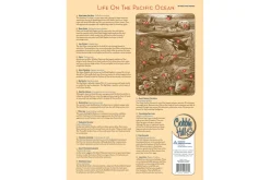 35 Piece Tray Puzzles (Multiple Themes)