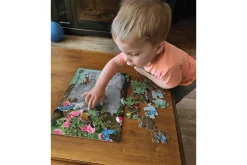35 Piece Tray Puzzles (Multiple Themes)