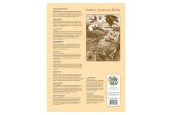 35 Piece Tray Puzzles (Multiple Themes)