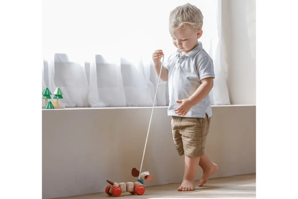 Plan Toys Pull Along Puppy
