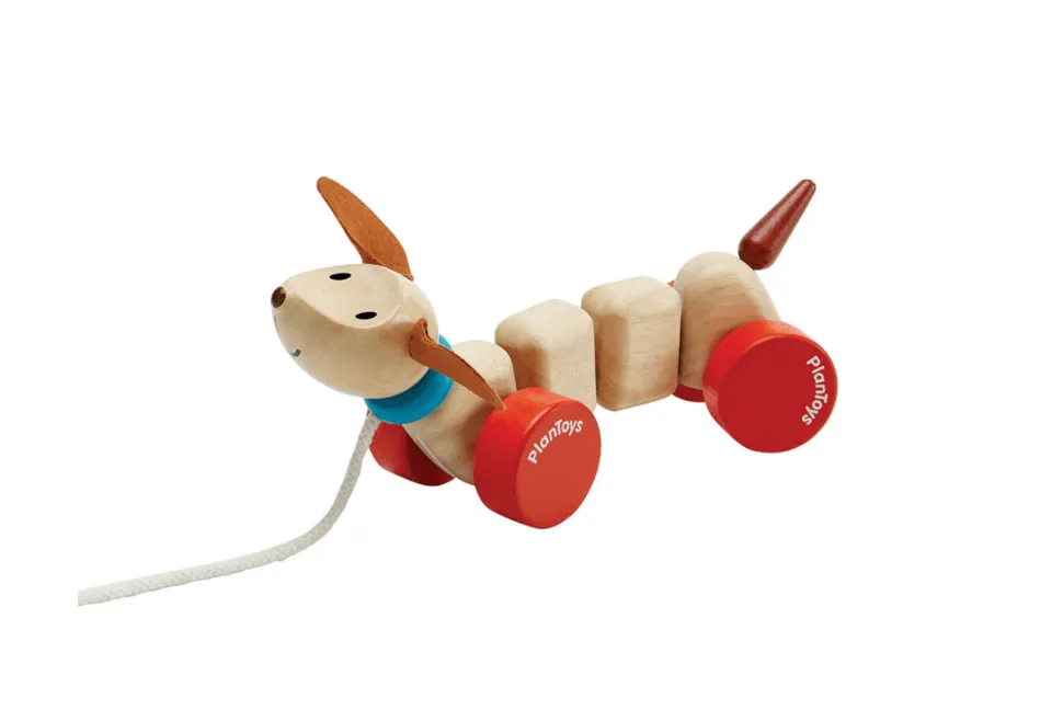Plan Toys Pull Along Puppy