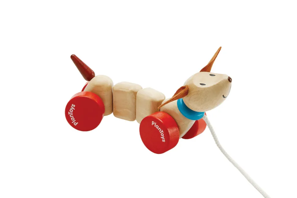 Plan Toys Pull Along Puppy