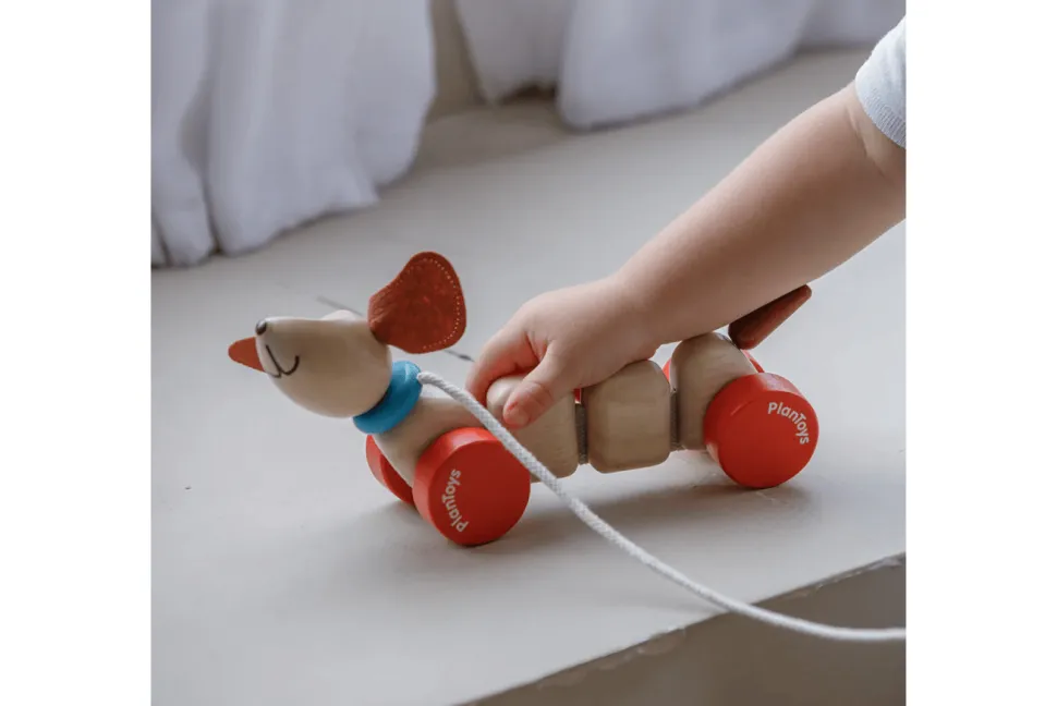 Plan Toys Pull Along Puppy