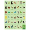 Rainforest Search & Find Puzzle
