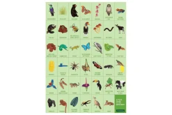 Rainforest Search & Find Puzzle
