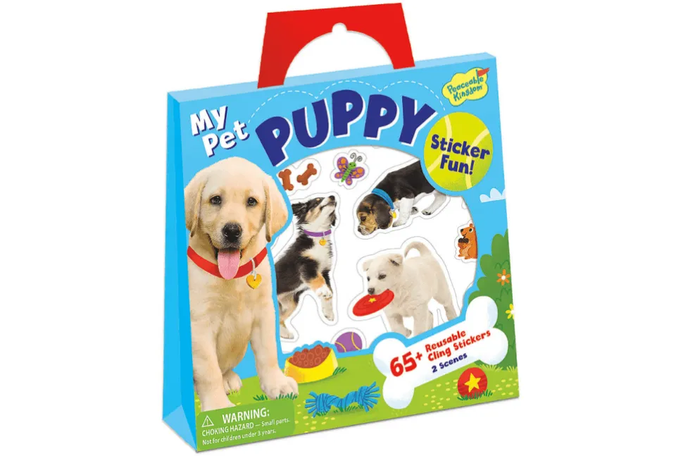 Reusable Sticker Activity Sets (various themes)
