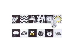 Savannah Black & White Book