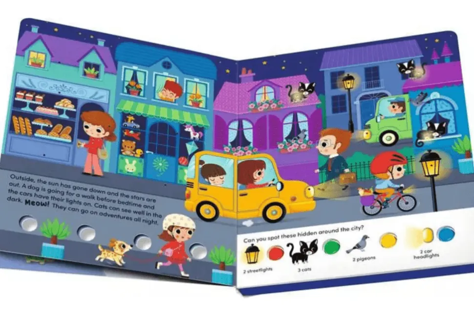 Search and Shine: In the Night Book