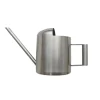 Small Metal Watering Can