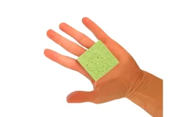 Small Sponges (various colours)