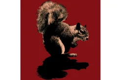 Squirrel Kids T-Shirt