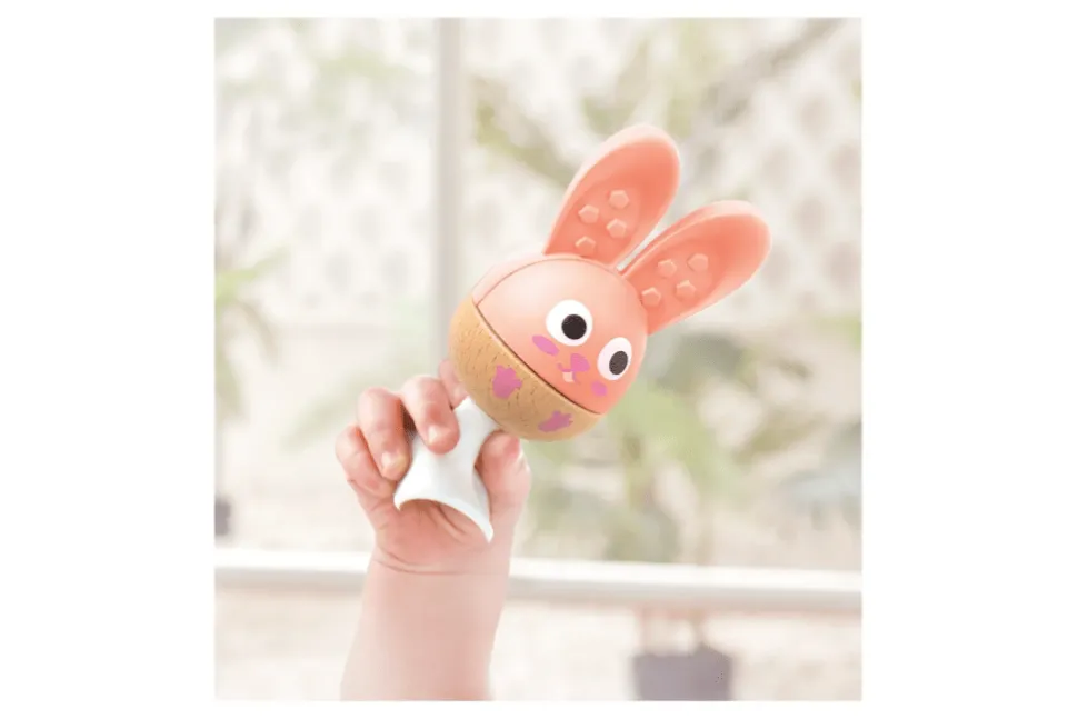 Suction Cup Rattle and Teether Set