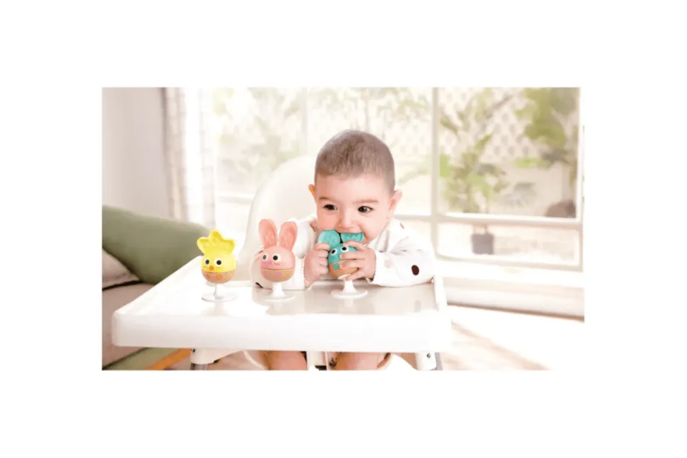 Suction Cup Rattle and Teether Set