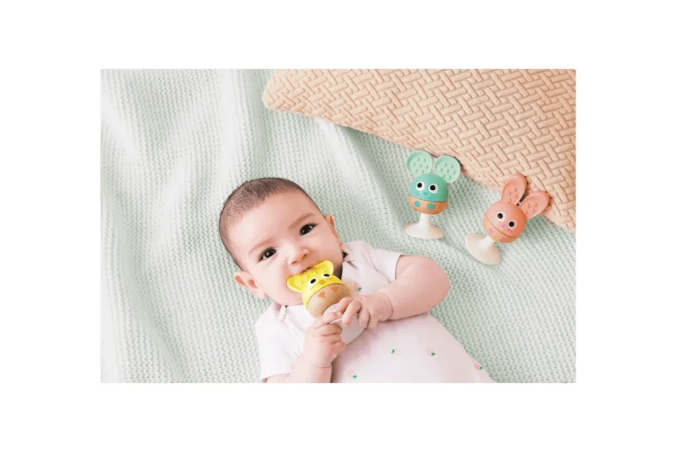 Suction Cup Rattle and Teether Set