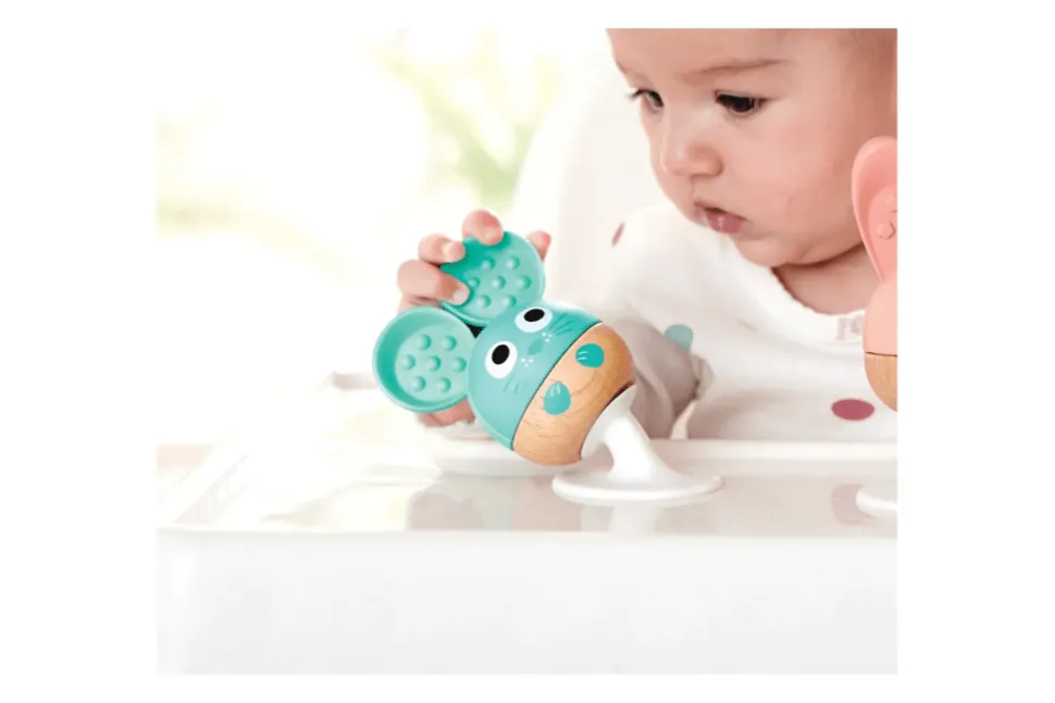Suction Cup Rattle and Teether Set