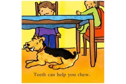 Teeth Are Not For Biting by Elizabeth Verdick