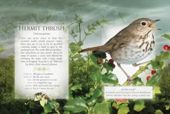 The Little Book of Woodland Bird Songs